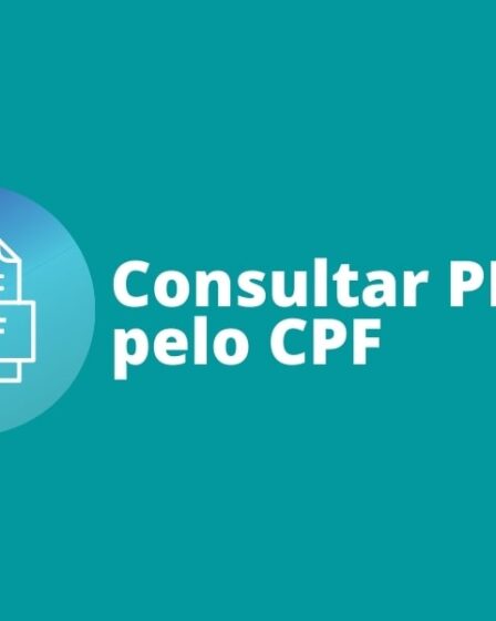Consultar PIS Pelo CPF